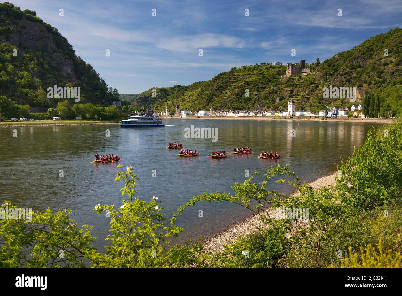 Reno al Porto di Loreley con vista sul Castello di Katz, Germania, Renania-Palatinato, oberes m, St. Goarshausen Foto Stock