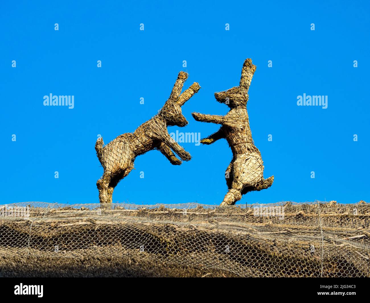 La scultura di animali di paglia sul tetto di paglia è uno stile tradizionale di arte popolare in Inghilterra. È anche un mezzo per gli artigiani di firmare il loro lavoro Foto Stock