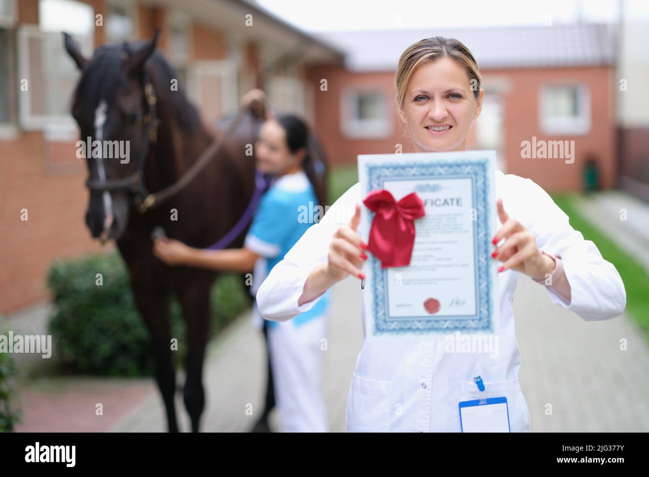 Veterinario donna detiene certificato medico su sfondo di cavallo Foto Stock