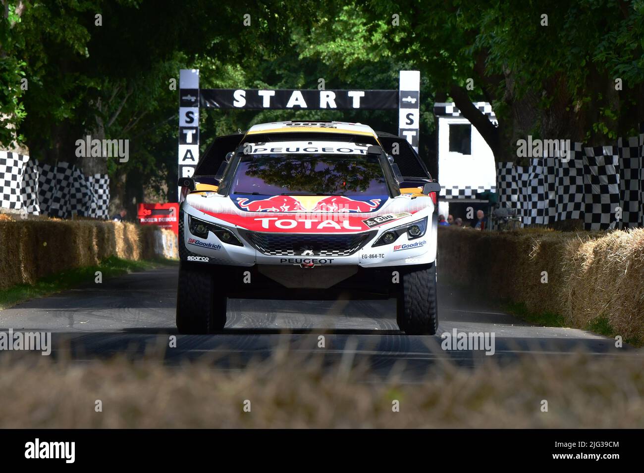 Andre Villas Boas, Magalhaes Goncalo, Peugeot 3008 DAKAR, Ultimate Rally Cars, Goodwood Festival of Speed, gli innovatori - Masterminds of Motorsport, Foto Stock