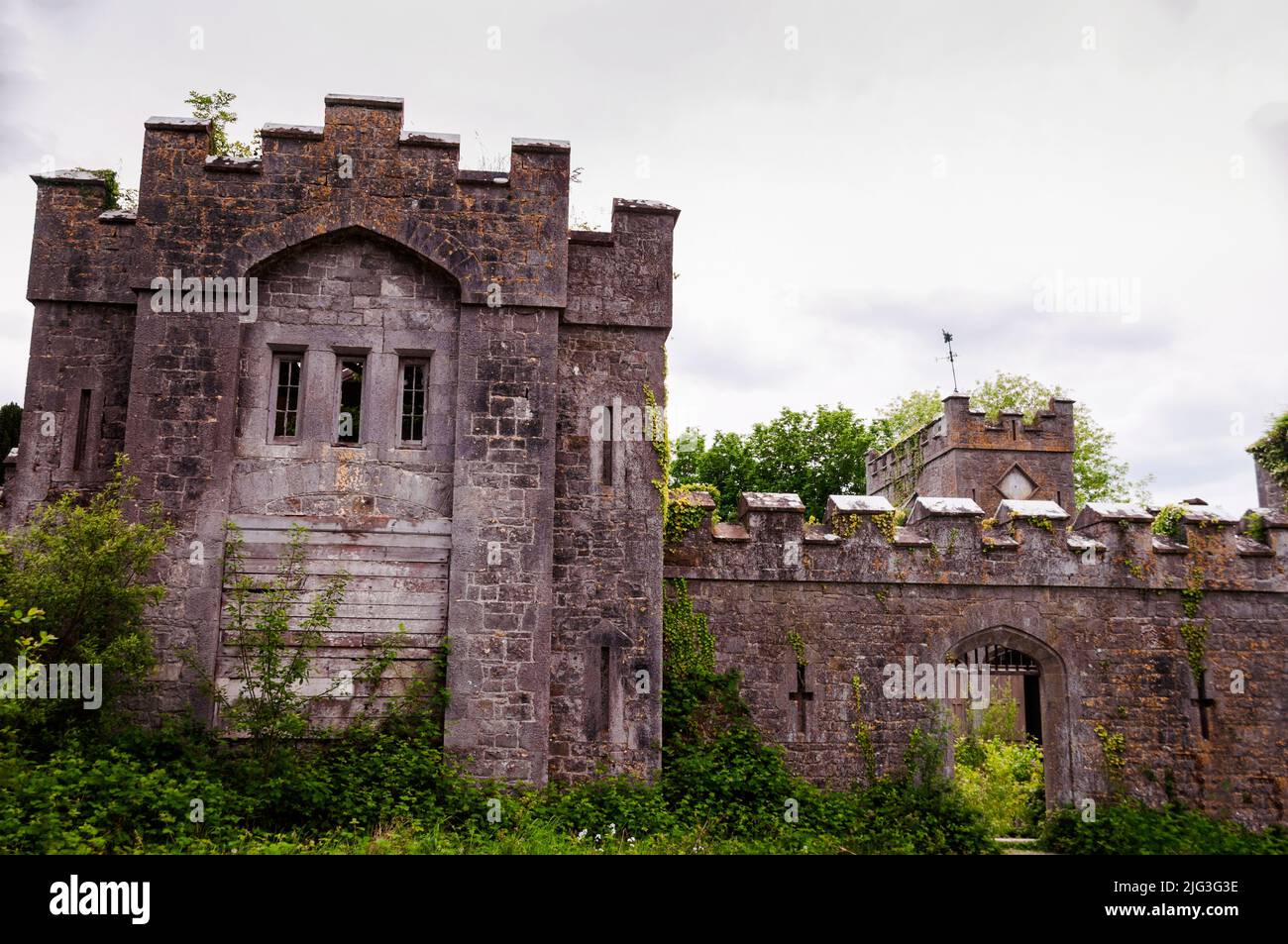 Merlature e porta ad arco appuntito presso l'abbandonato castello gotico Revival Charleville a Tullamore, in Irlanda. Foto Stock