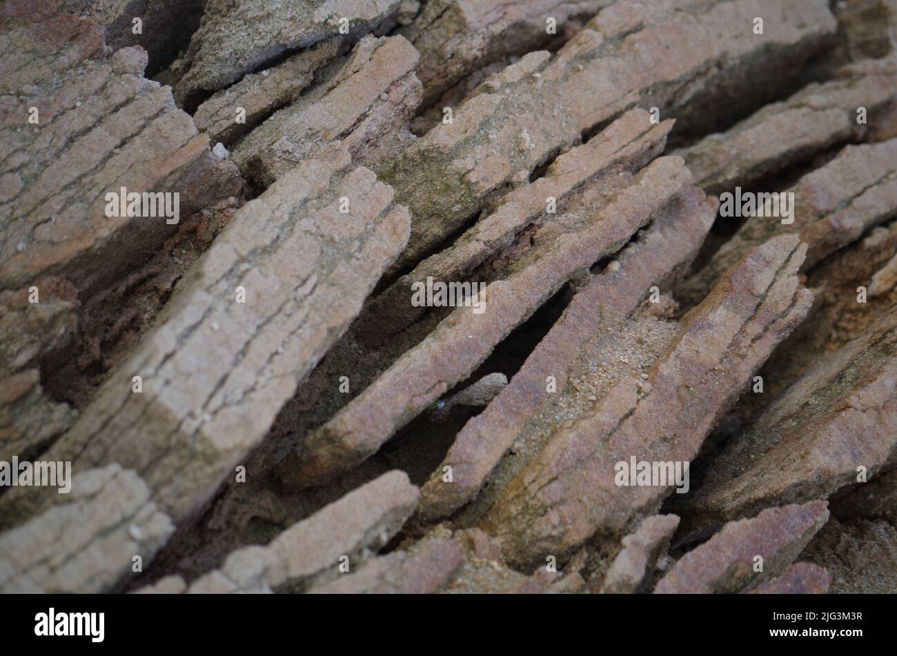 Come percorsi di vita. Foto Stock