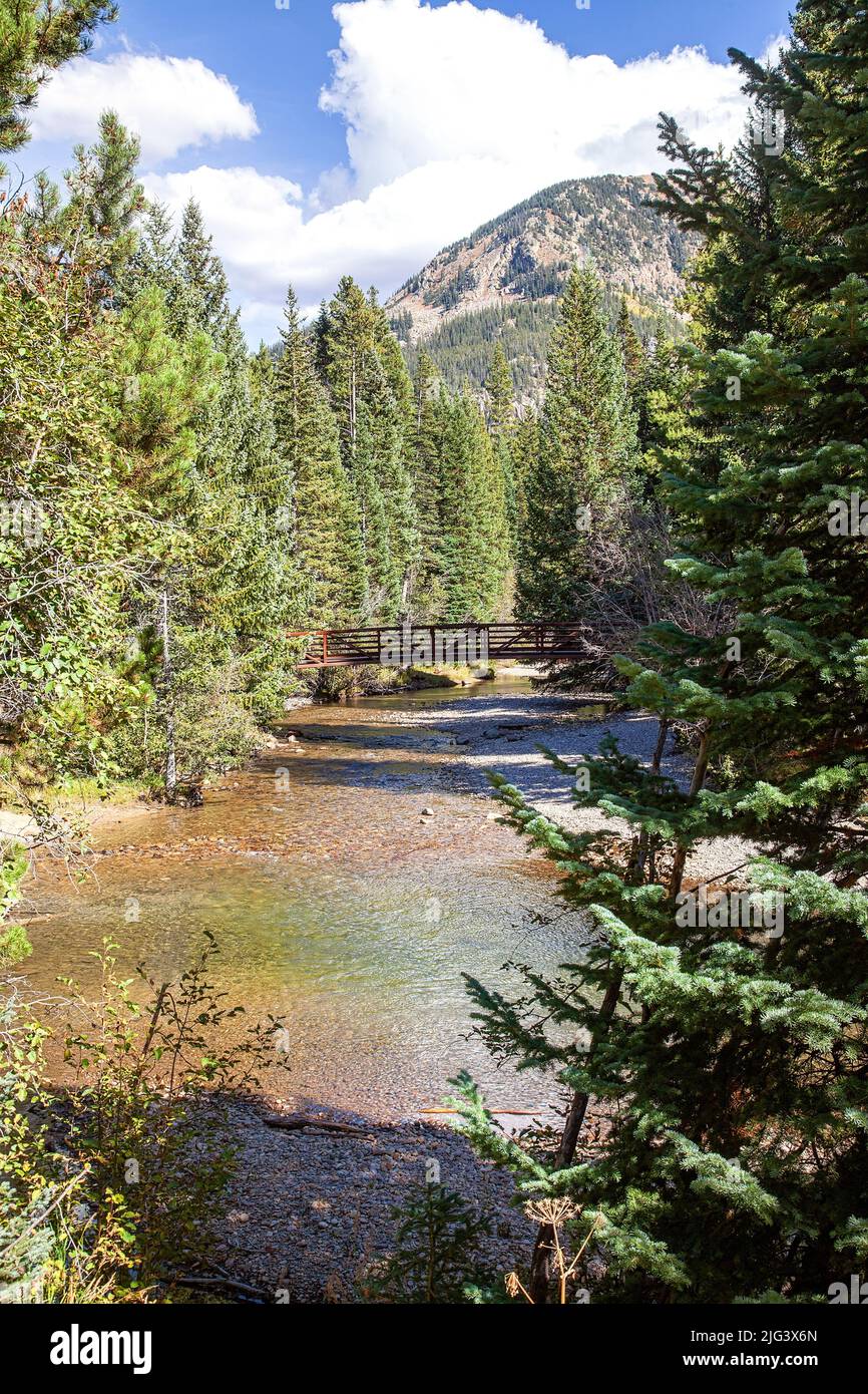 Paesaggio boscoso e ponte che attraversa il ruscello in Colorado Foto Stock