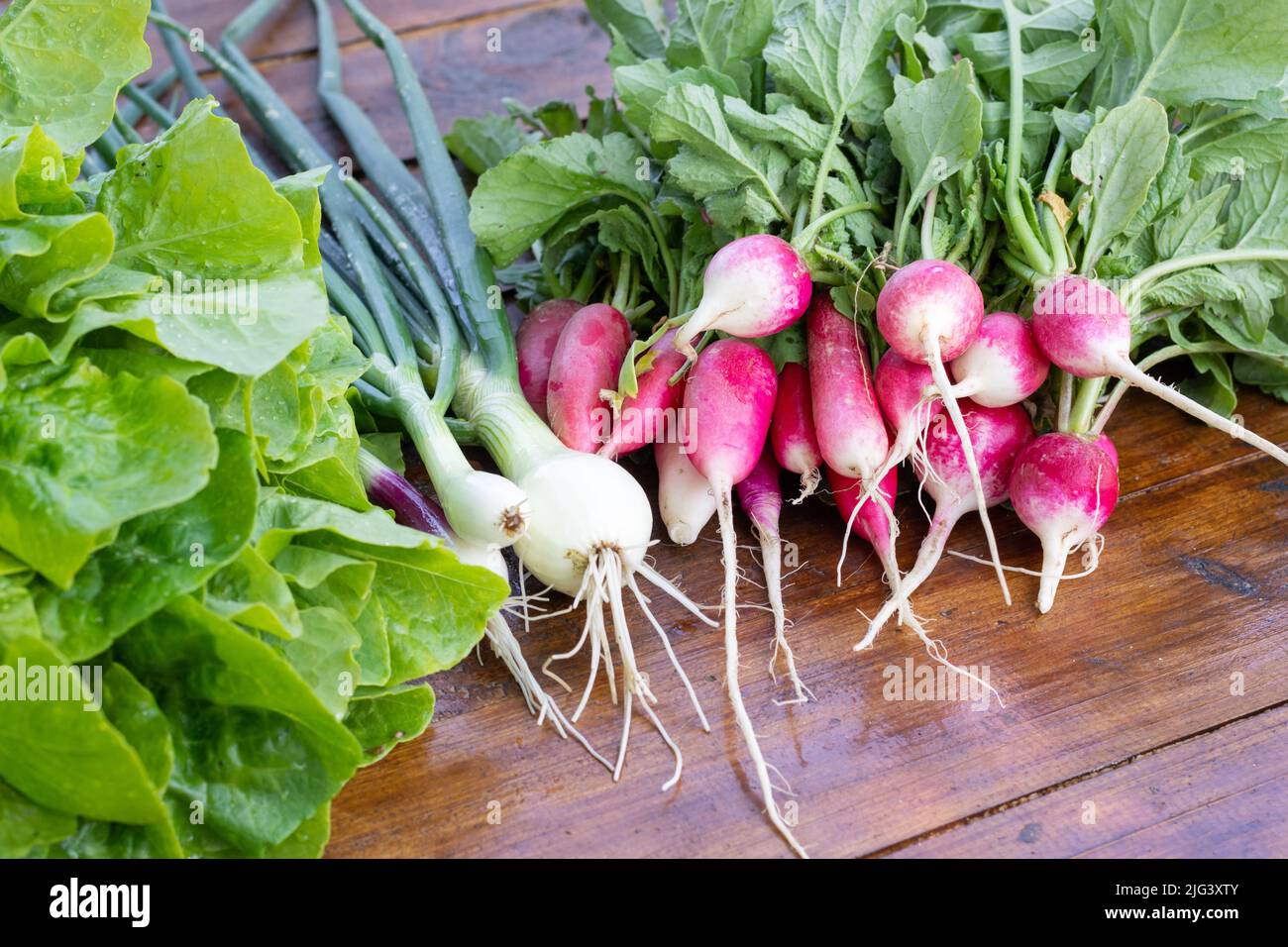 verdure fresche ed erbe su sfondo di legno. ingredienti di cibo crudo. immagine di stile di paese Foto Stock