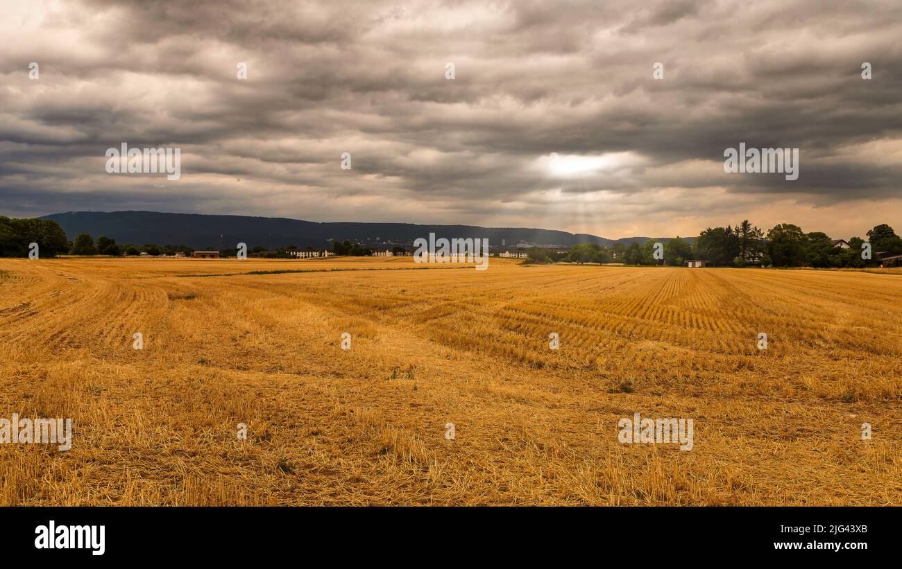 Landleben a Heidelberg Foto Stock