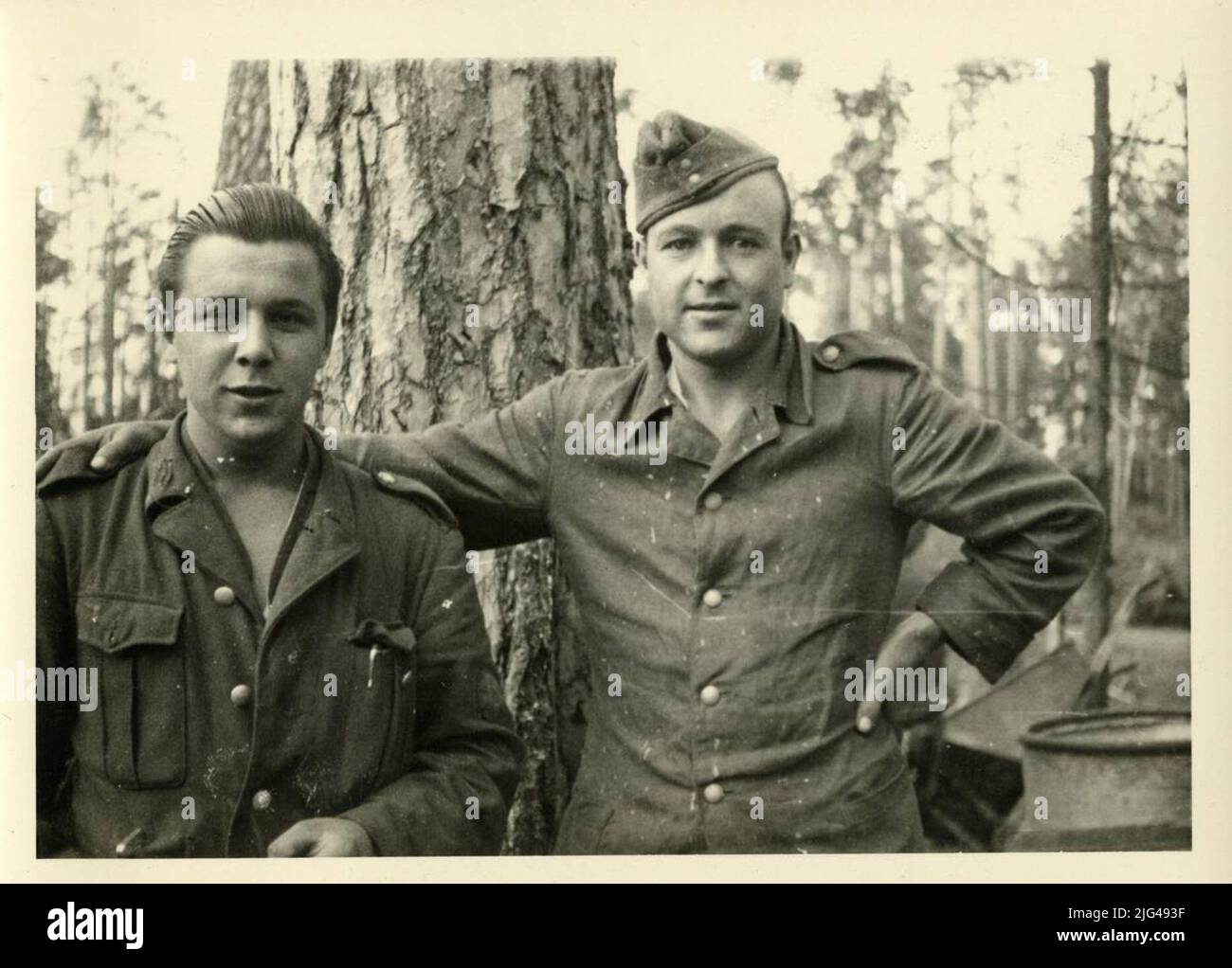 Ritratto del soldato Pedro Fernández Tomás con giacca Drillichock 33. Leningrad Ritratto frontale del soldato Pedro Fernández Tomás con giacca Drillichock 33 (modello di giacca di lavoro iniziale) e soldato Laureano [] Álvarez Foto Stock