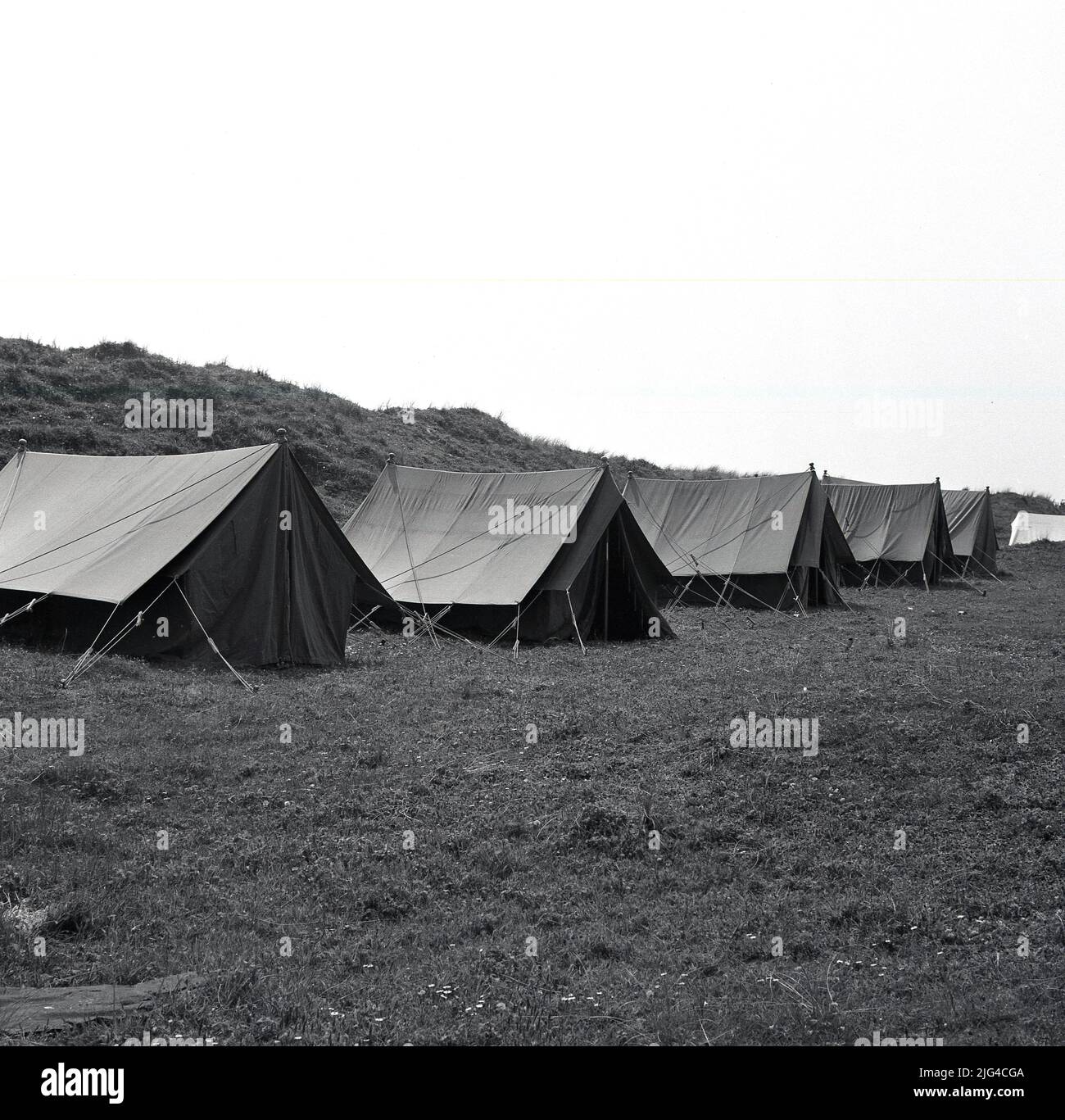 1950s, storica, una fila di tende di tela tradizionali erette in un campo. Inghilterra, Regno Unito. Foto Stock