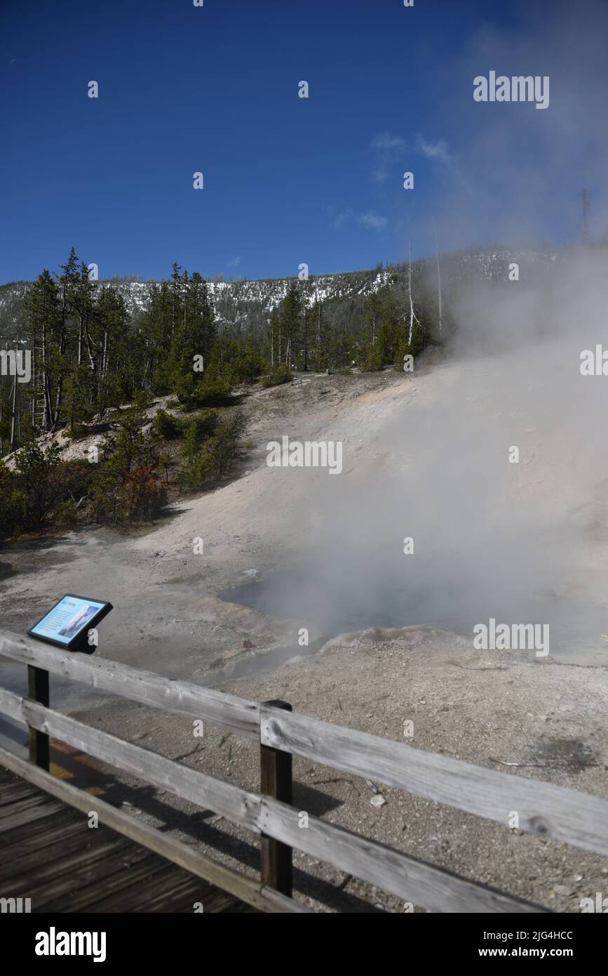 Parco Nazionale di Yellowstone, USA. 5/21-24/2022. La sorgente di beryl è una sorgente termale calda a bordo strada nel bacino del geyser di Gibbon. Facilmente raggiungibile a piedi. Grande surriscaldato Foto Stock