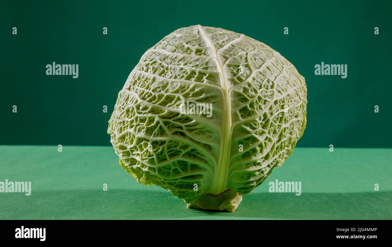 Cavolo Foto Stock