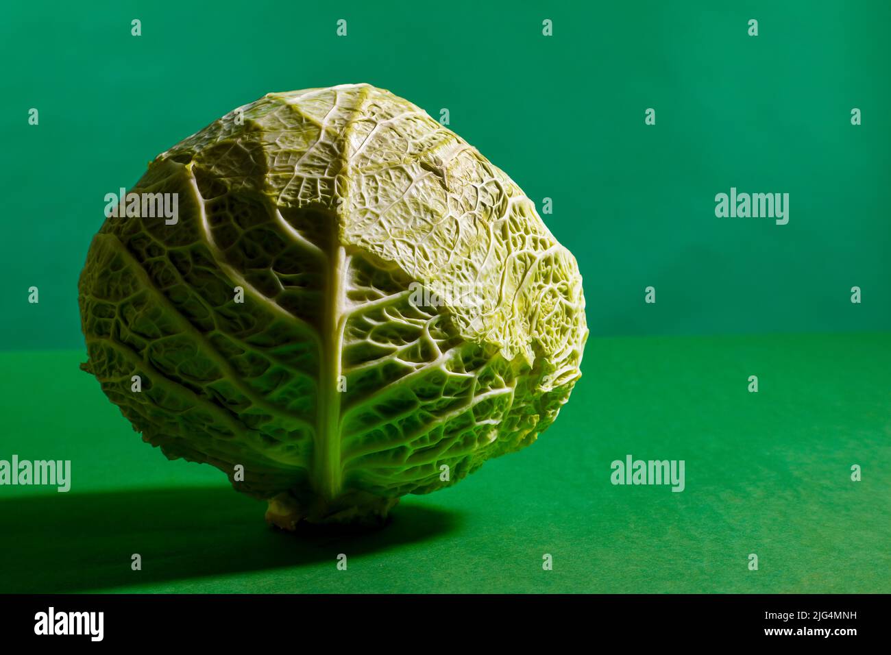 Cavolo Foto Stock