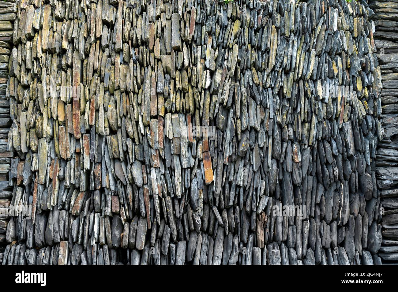 Un muro di ardesia Cornovaglia a Rock, Cornovaglia. REGNO UNITO. Foto Stock