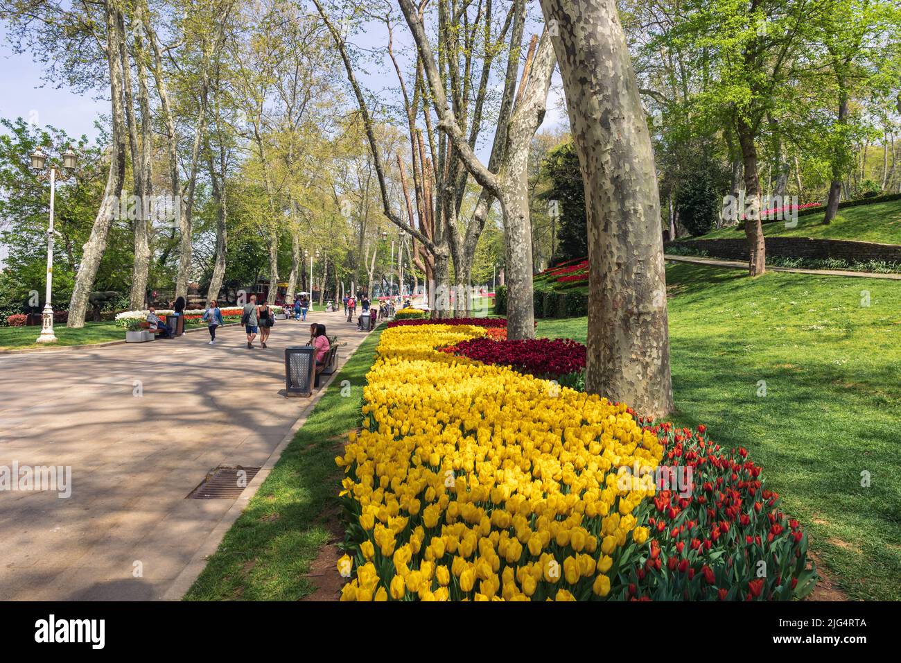 Festival dei tulipani a Istanbul. Gulhane Parki e turisti. Istanbul Turchia - 4.25.2022 Foto Stock
