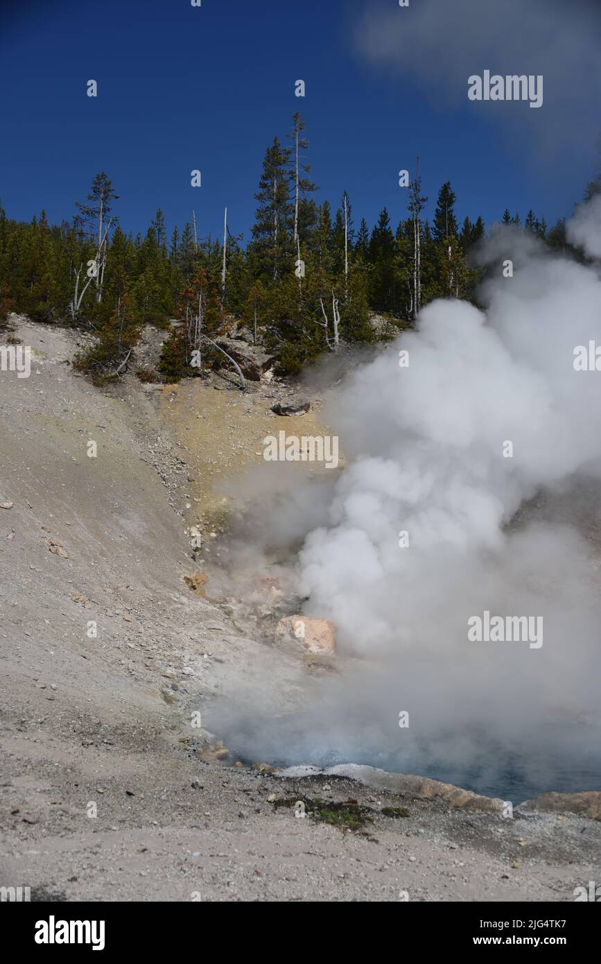 Parco Nazionale di Yellowstone, USA. 5/21-24/2022. La sorgente di beryl è una sorgente termale calda a bordo strada nel bacino del geyser di Gibbon. Facilmente raggiungibile a piedi. Grande surriscaldato Foto Stock