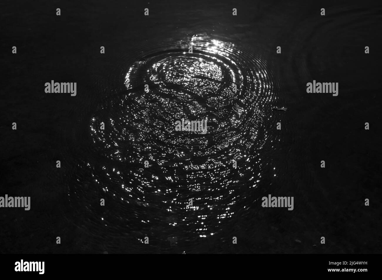 Cerchi sull'acqua. Spruzzi nel lago. Superficie di acqua. Luce sui liquidi. Foto Stock