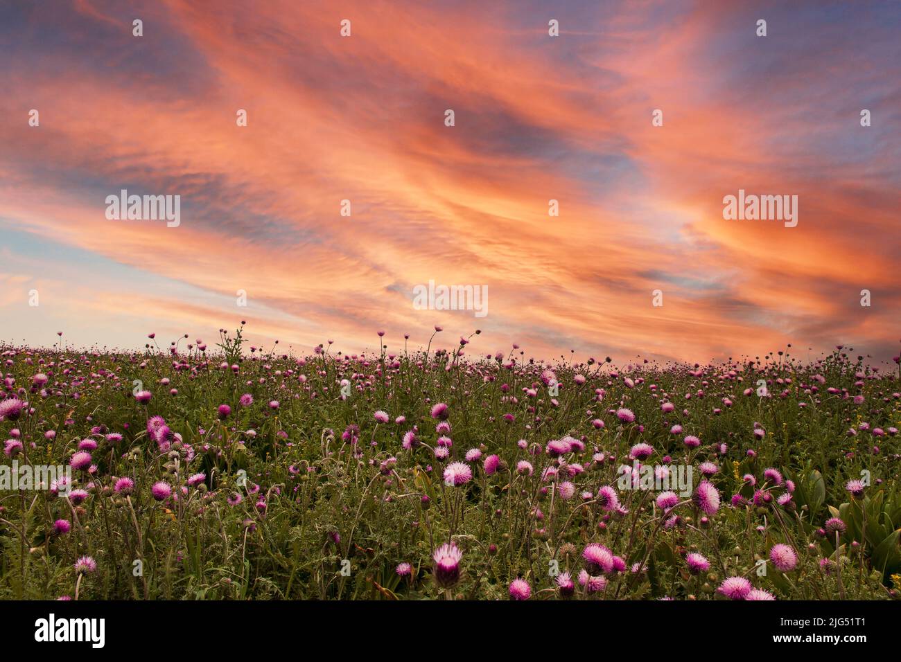 Bellissimo paesaggio nella zona di Selansar di ​​Gilan - salansar Foto Stock