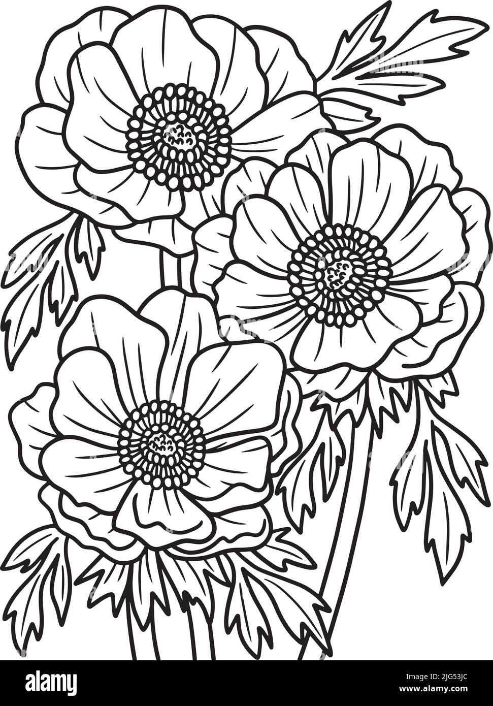 Anemone Flower Coloring Page per Adulti Illustrazione Vettoriale