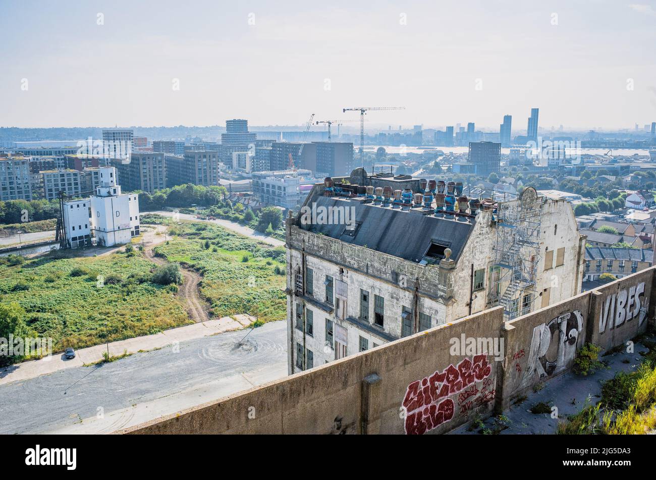 Derelict Millennium Mills vista sul tetto verso Grain Silo D a Silvertown, Newham, East London, UK. Foto Stock