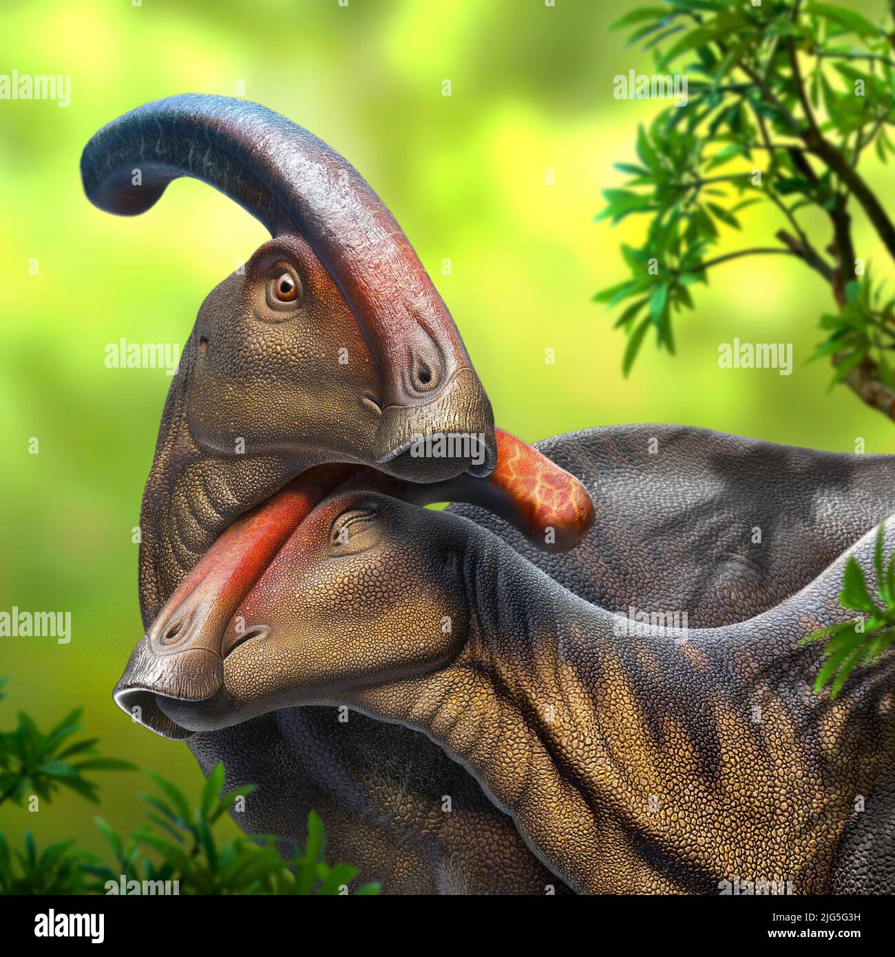 Parasaurolophus Flirting Foto Stock