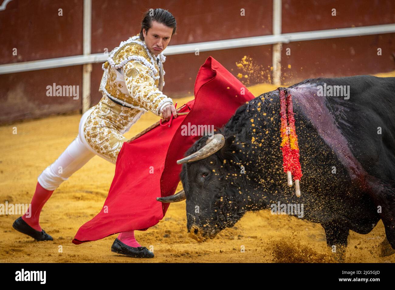 Corrida a Sanlucar la Mayor, Spagna Foto Stock