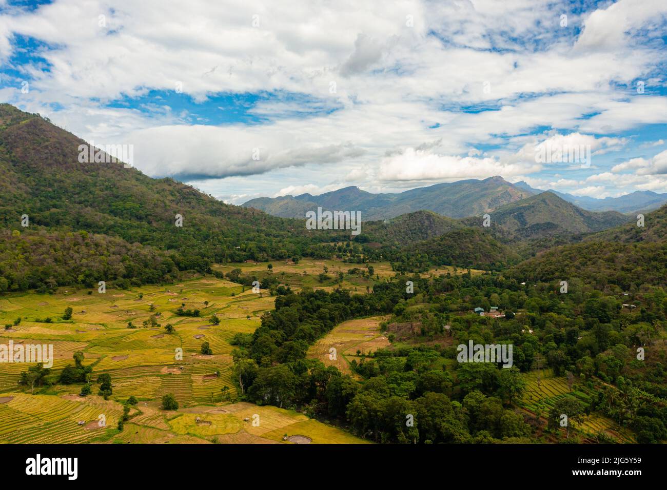 Campi di riso e terrazze in una valle tra le montagne. Paesaggio agricolo in Sri Lanka. Foto Stock