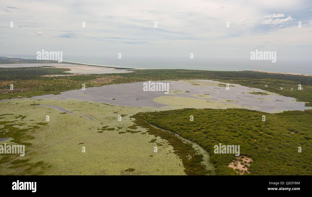 Zone umide e laghi con vegetazione tropicale, habitat naturale per gli animali. Sri Lanka. Foto Stock