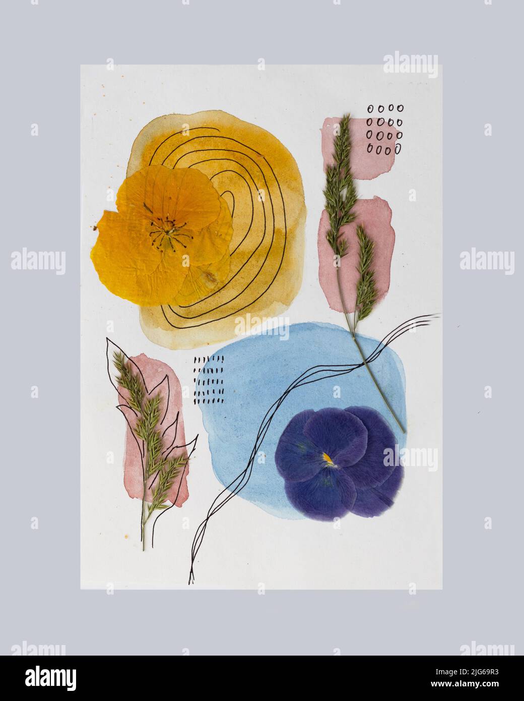 Oshibana è un moderno fiore botanico pressato arte. Boho stile composizione di piante secche e acquerelli spruzzi. Idea del poster di interior design. Foto Stock