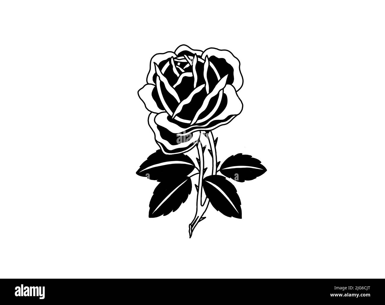 Rosa grafica del tatuaggio della vecchia scuola Foto Stock