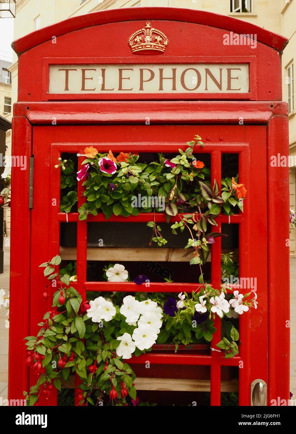 Chiosco telefonico riutilizzato con esposizione di fiori estivi, Bath, Somerset. Foto Stock