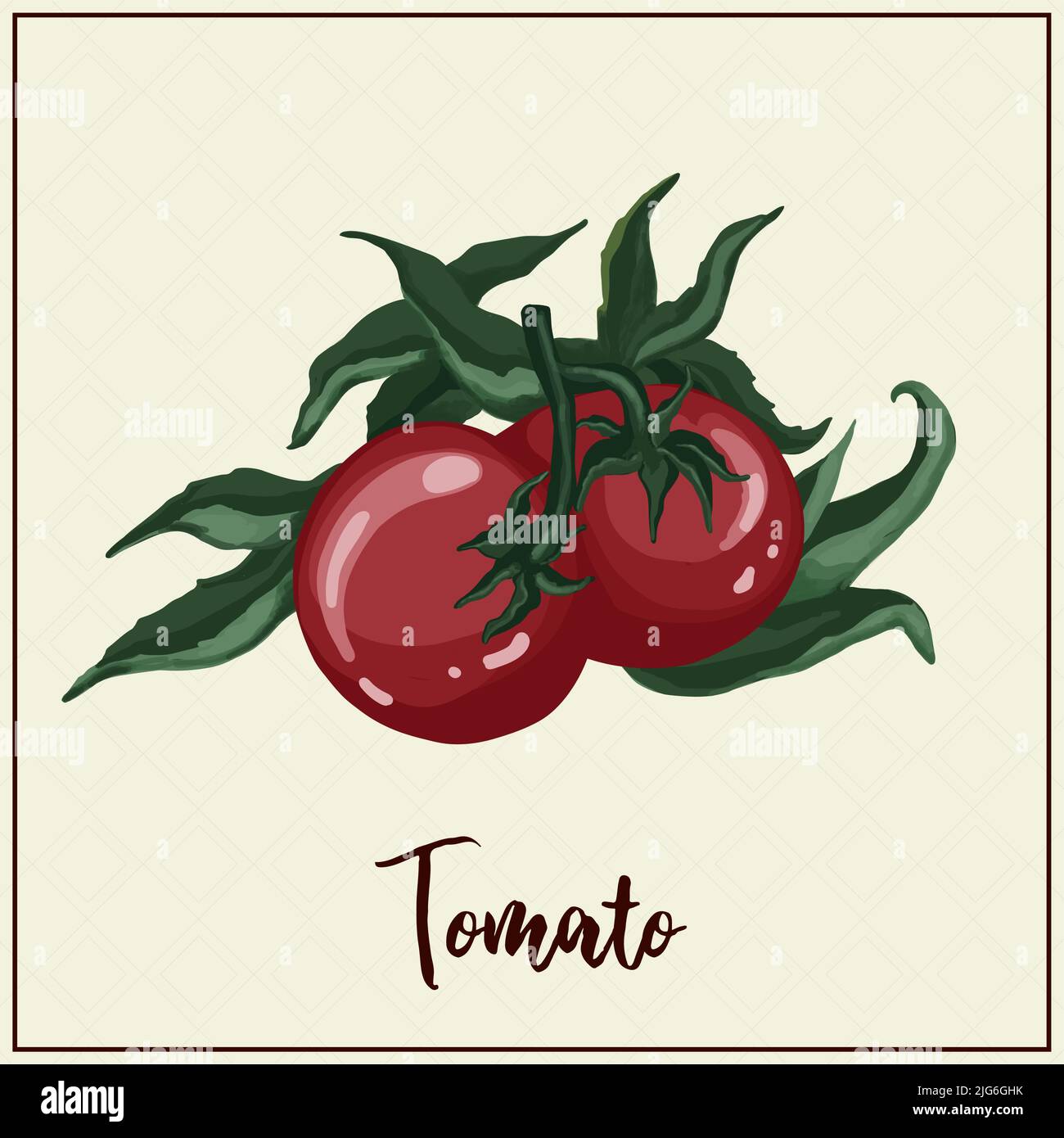 Carta con verdure. Pomodoro. Pomodori rossi tirati. Illustrazione vettoriale. Agricoltura. Verdure di serra Illustrazione Vettoriale