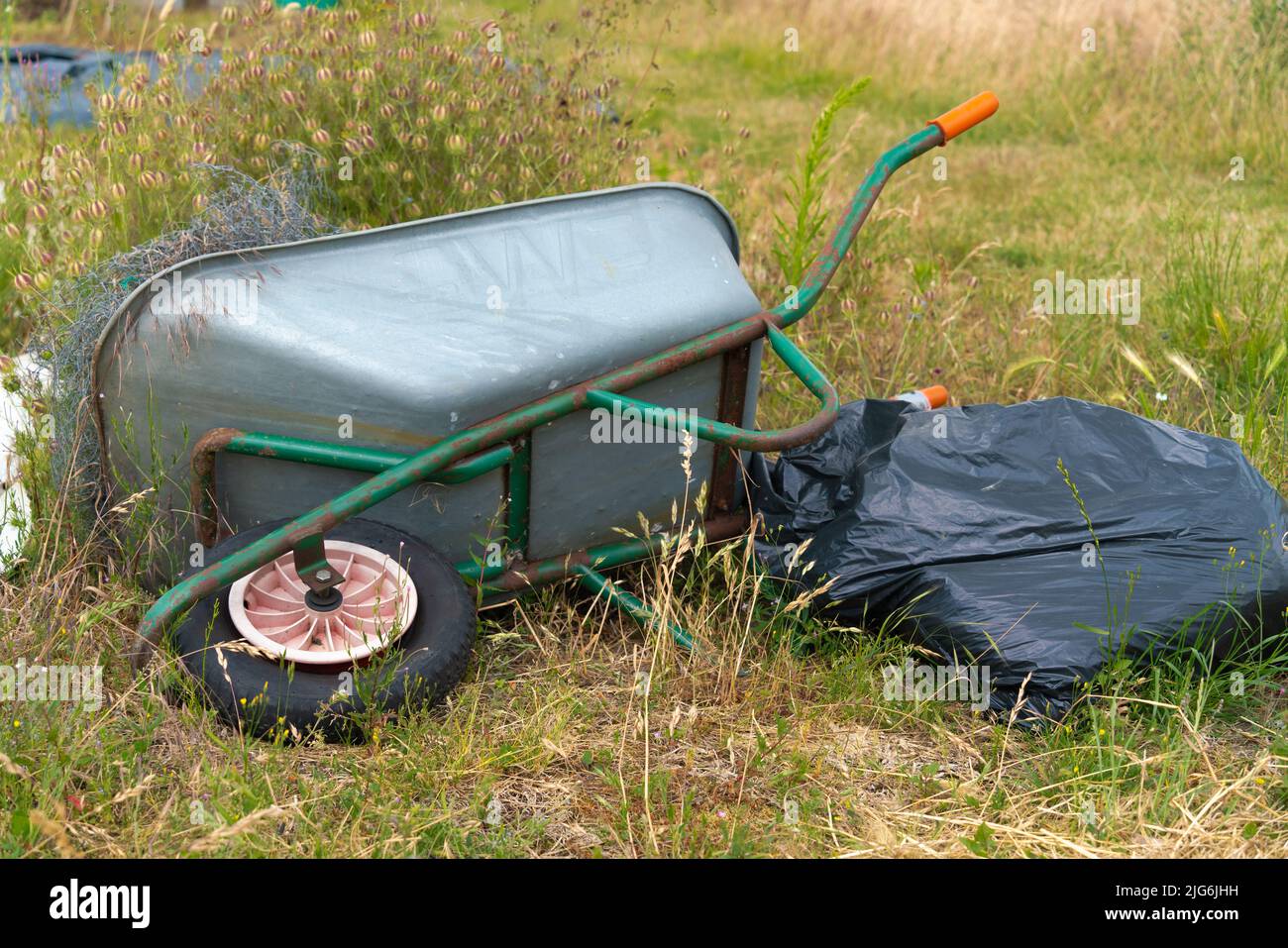 Assegnazione, verdura, cerotto, mucchio di composto, cerotto di cavolo, Pianificazione, layout, obiettivi organici, piante che si sviluppano, raccolta, giardinaggio organico, brassici. Foto Stock