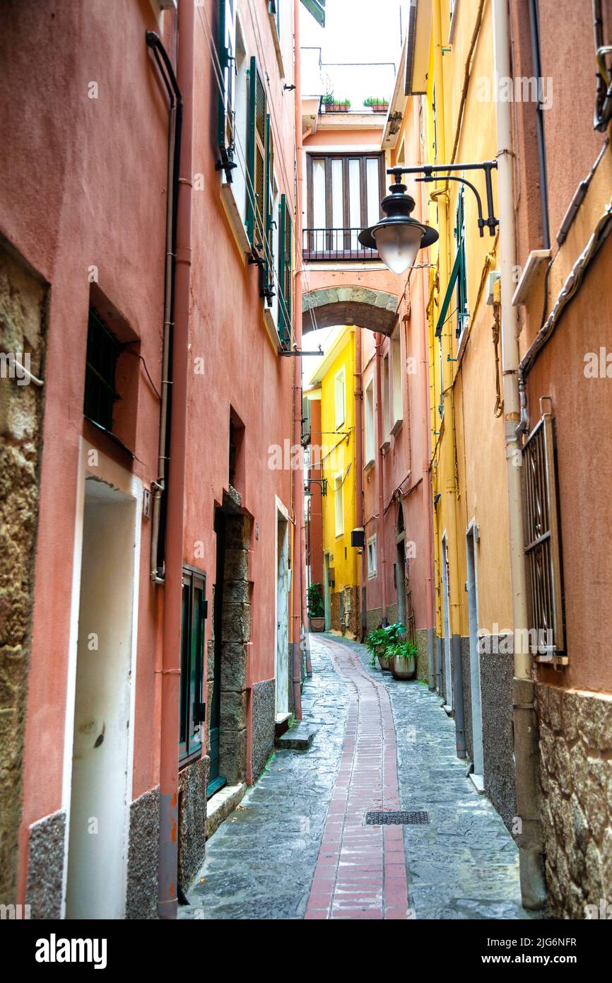 Una strada stretta e colorata a Manarola, cinque Terre, la Spezia, Italia Foto Stock