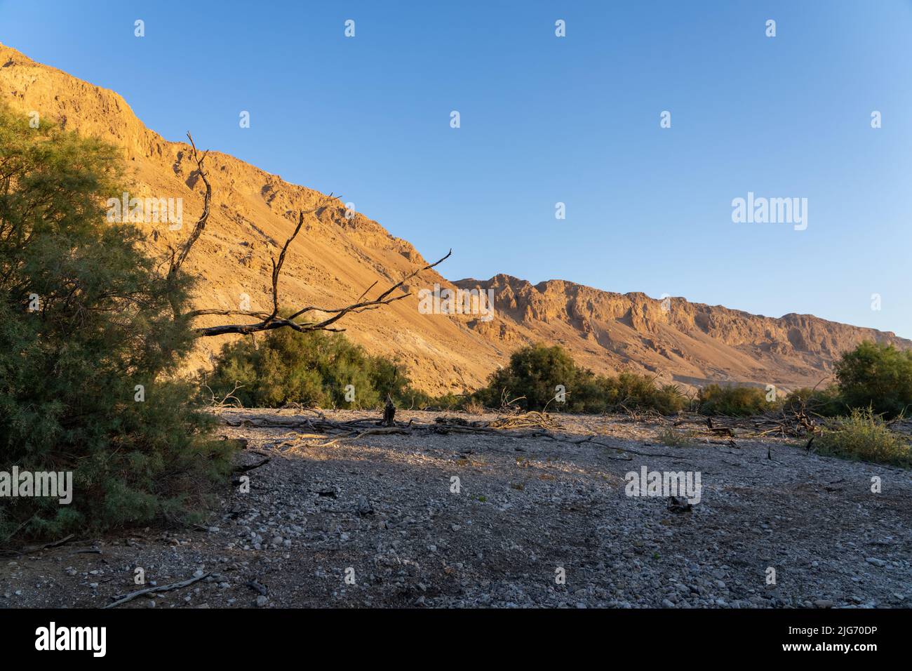 Ein Feshkha, conosciuta anche come Einot Tzukim, è la riserva naturale più bassa del mondo, situata nel deserto della Giudea lungo le rive del Mar Morto Foto Stock