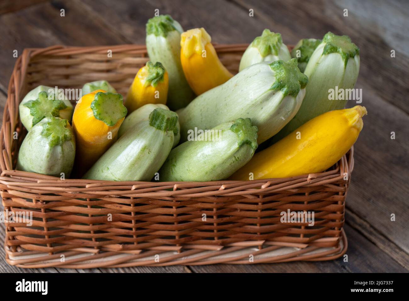 Zucchine multicolore gialle, verdi, bianche, arancioni sul tavolo in legno in primo piano. Sfondo alimentare. Zucchine fresche raccolte in cestino, zucca estiva tagliata. Zucchine verdi selezionate. Foto Stock