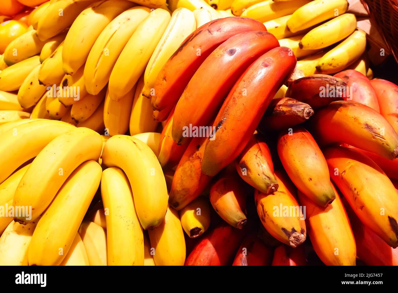 Il giallo standard e le banane rosse più esotiche in grappoli su un mercato agricolo stallo a Tenerife, Isole Canarie, Spagna. Foto Stock