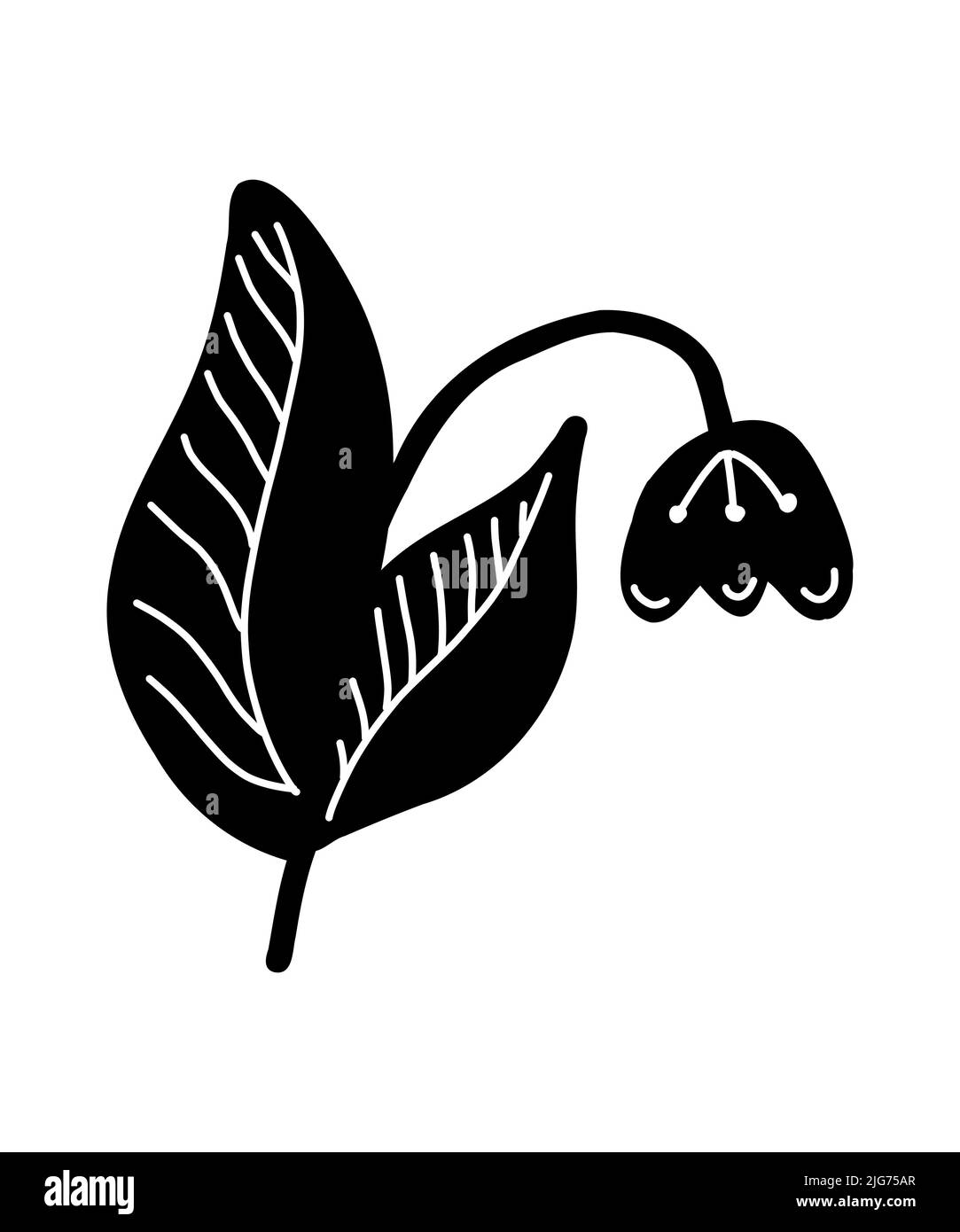 Icona del fiore di Convallaria. Silhouette di tendenza grafica vettoriale di fiori per siti web e applicazioni mobili. Disegno di silhouette con logo botanico. Illustrazione Vettoriale