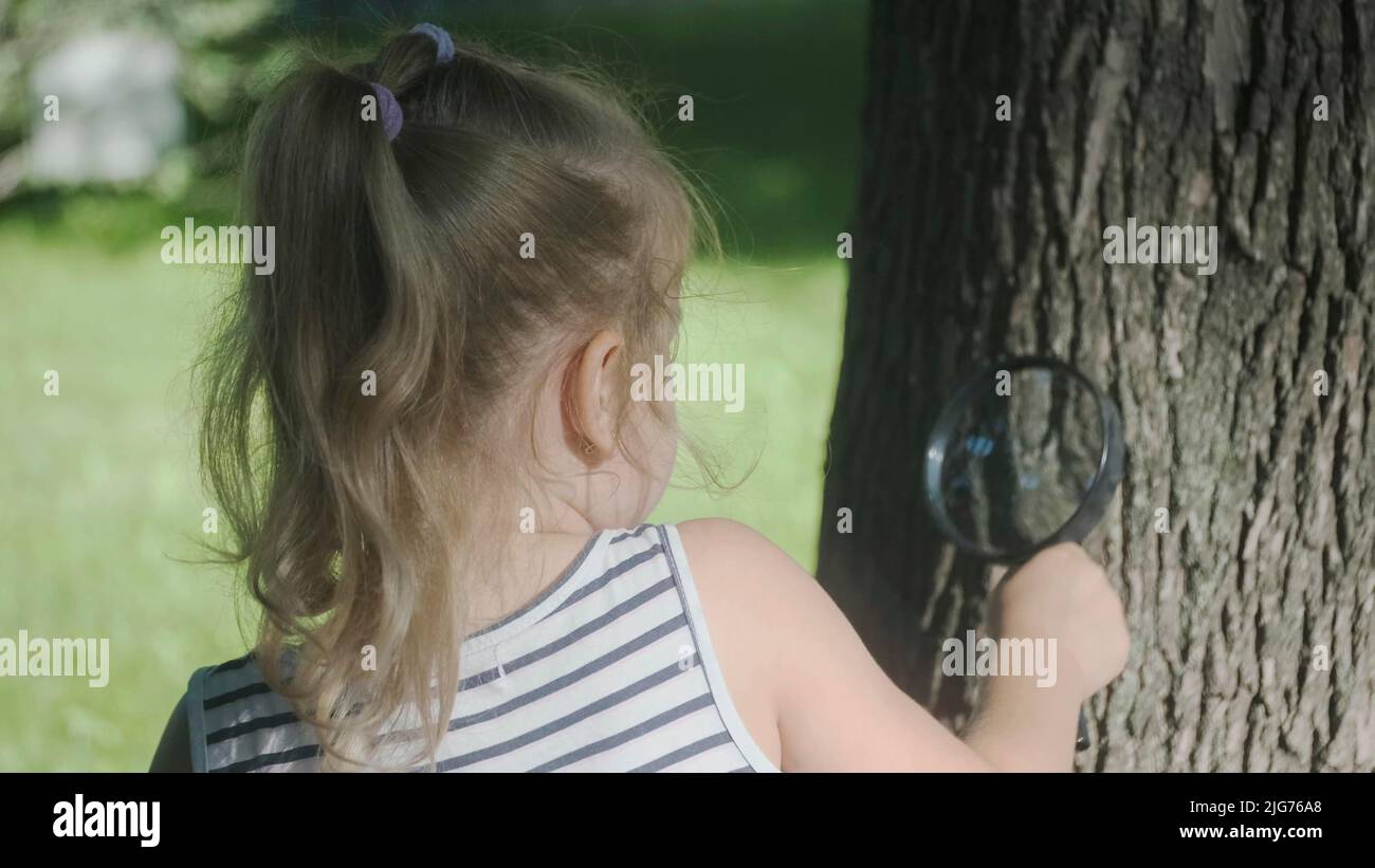La ragazza piccola guarda attraverso la lente agli insetti sul tronco dell'albero. Primo piano della ragazza bionda sta studiando le formiche mentre le guarda attraverso la lente d'ingrandimento Foto Stock