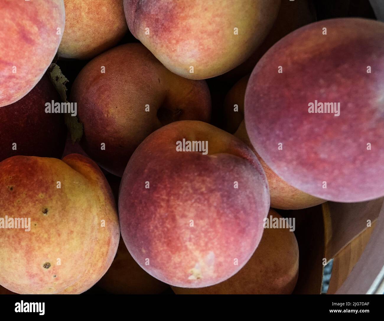 Vista ravvicinata delle pesche fresche mature. Foto Stock