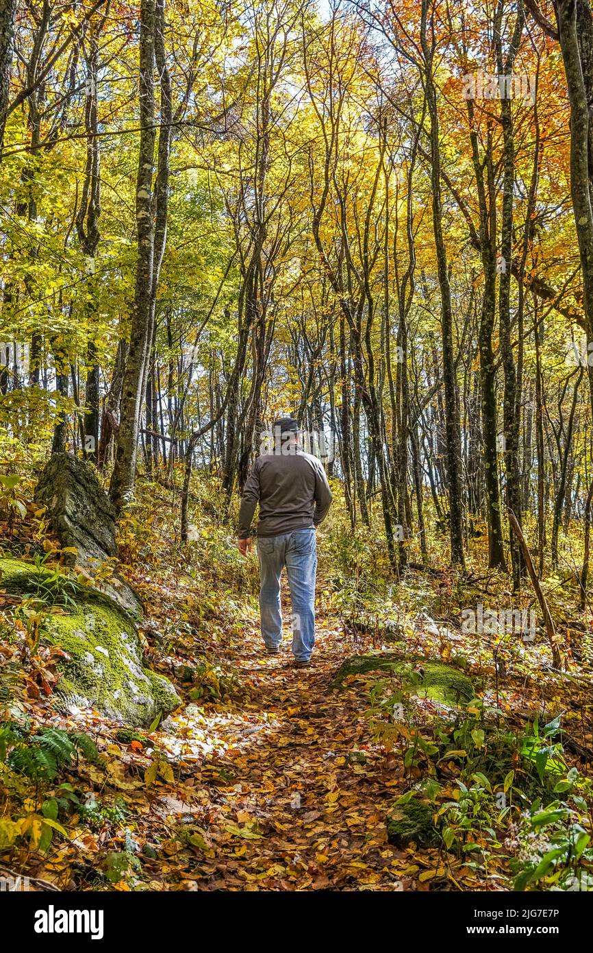 Escursione maschile per adulti sulle foglie cadute sul sentiero Appalachian Trail. Foto Stock