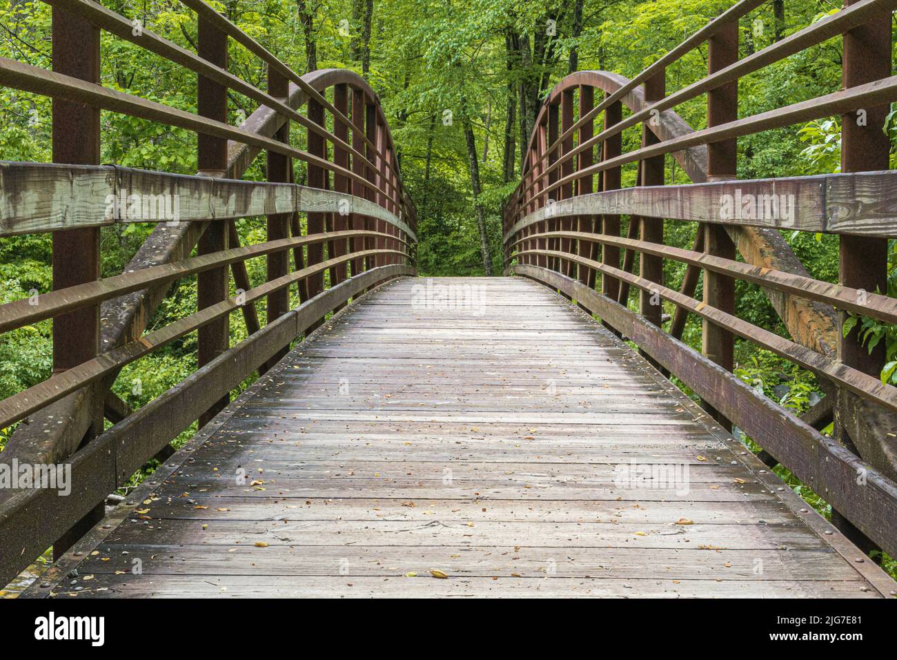 Ponte pedonale rustico, in metallo e legno in una foresta lussureggiante. Foto Stock