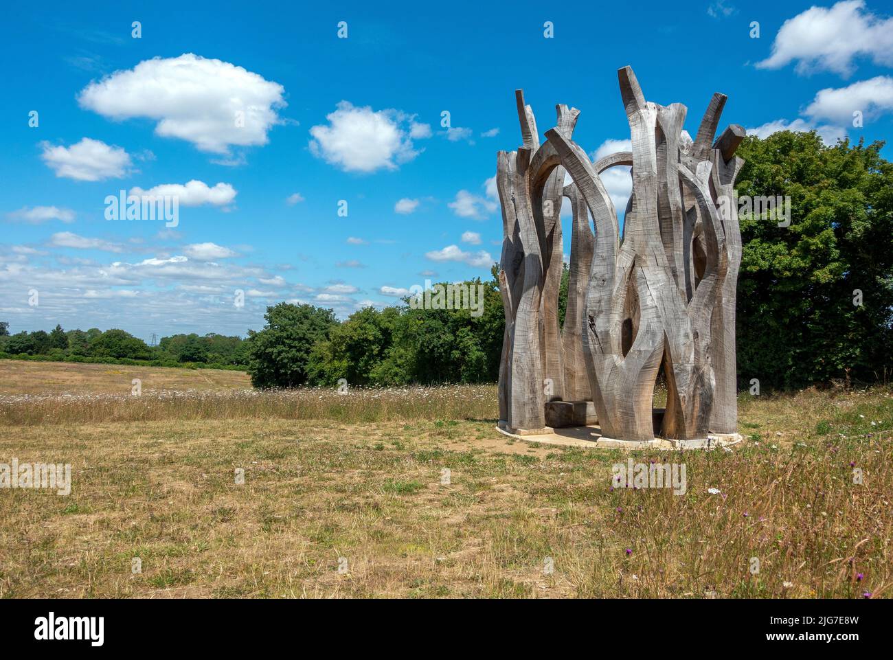 Witness (2016-2021) scultura di John Merrill a Langley vale Centenary Wood a Epsom, Surrey, Inghilterra, Regno Unito Foto Stock