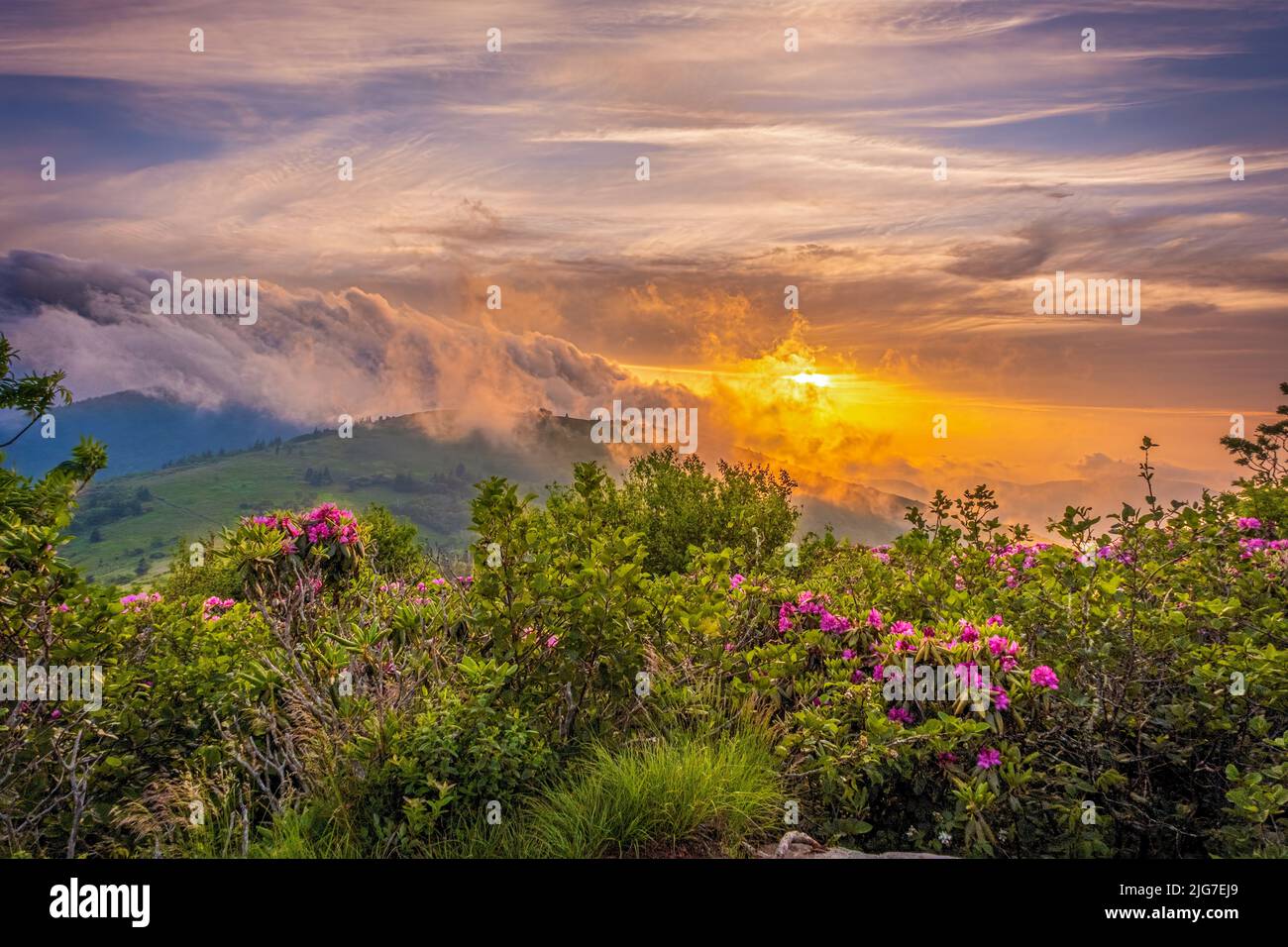 Roan Mountain Sunset sopra Rhododendron fiori giardini e nuvole tempesta Foto Stock