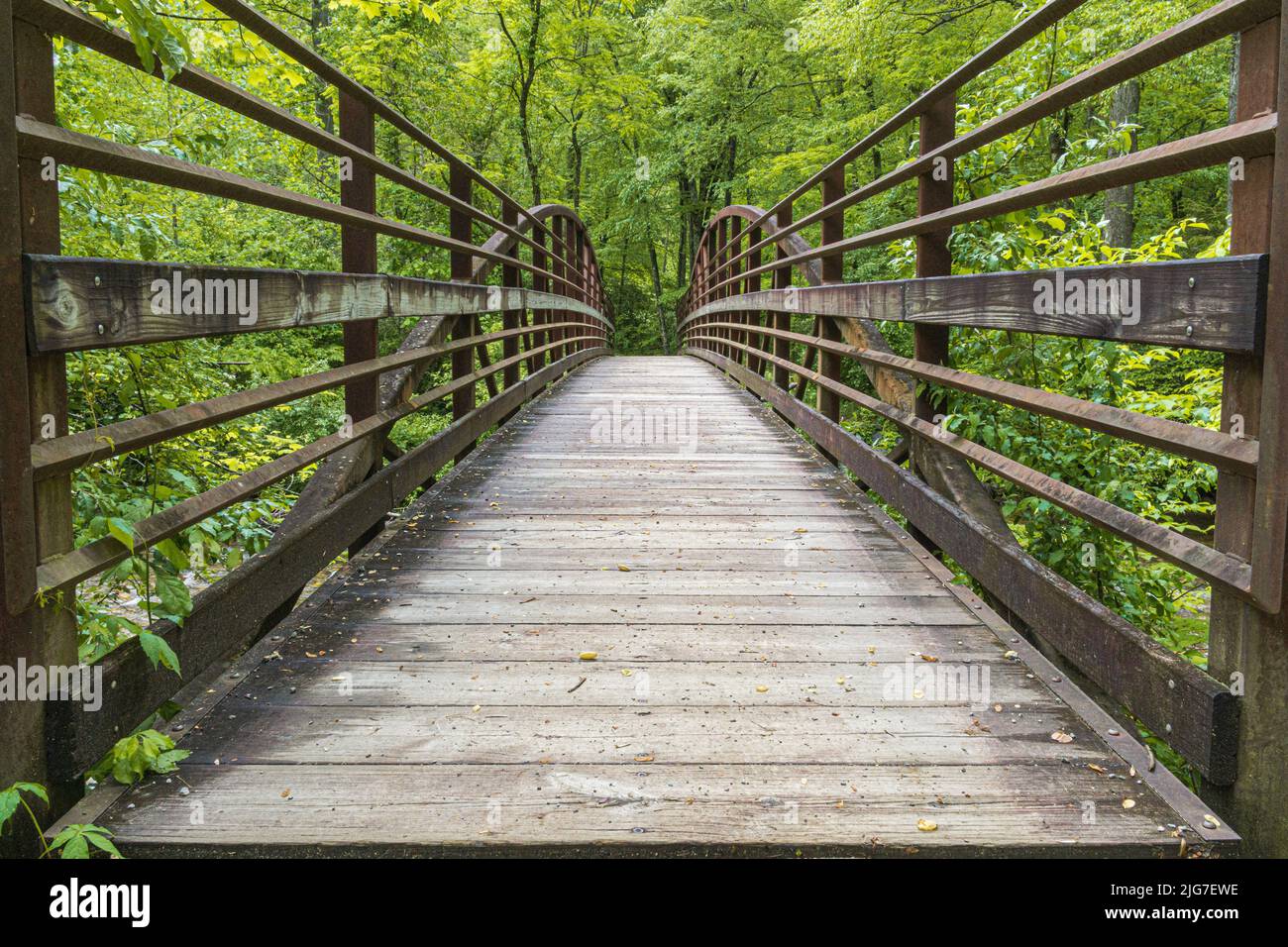 Invitante ponte in metallo rustico circondato da una foresta verde. Foto Stock