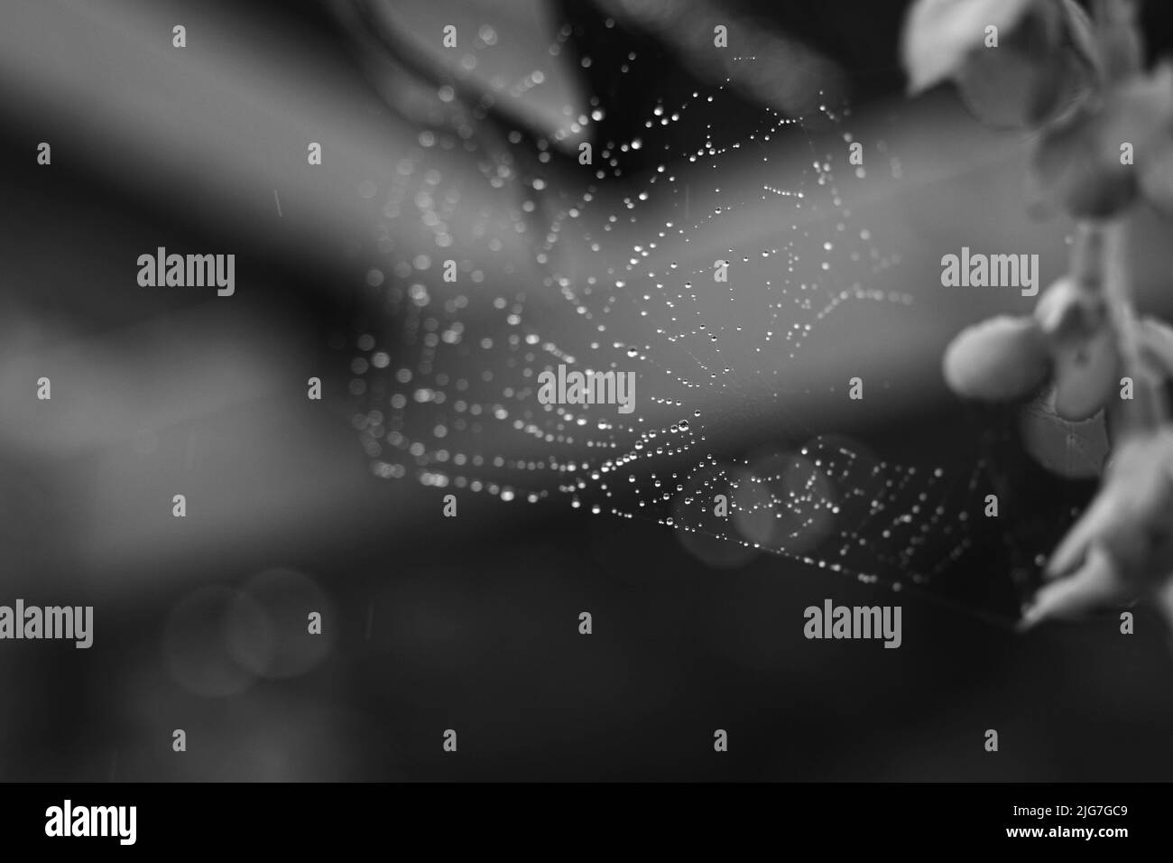 Una foto in bianco e nero di gocce di pioggia su un nastro Foto Stock