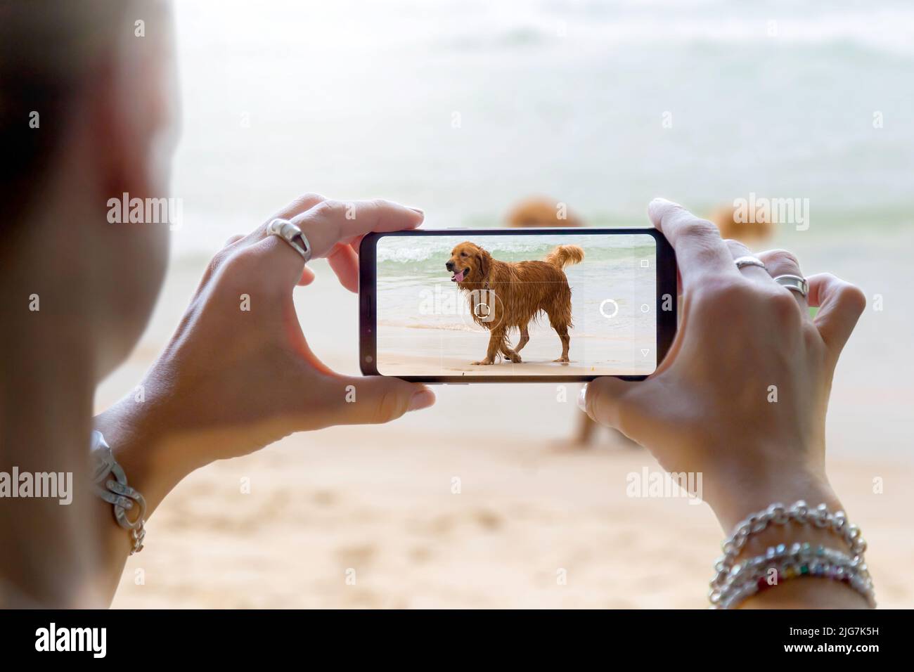 Fotografa un cane sulla spiaggia. Donna che scatta una foto con la fotocamera di uno smartphone. Scattare una foto del suo animale domestico con un telefono cellulare. Foto Stock
