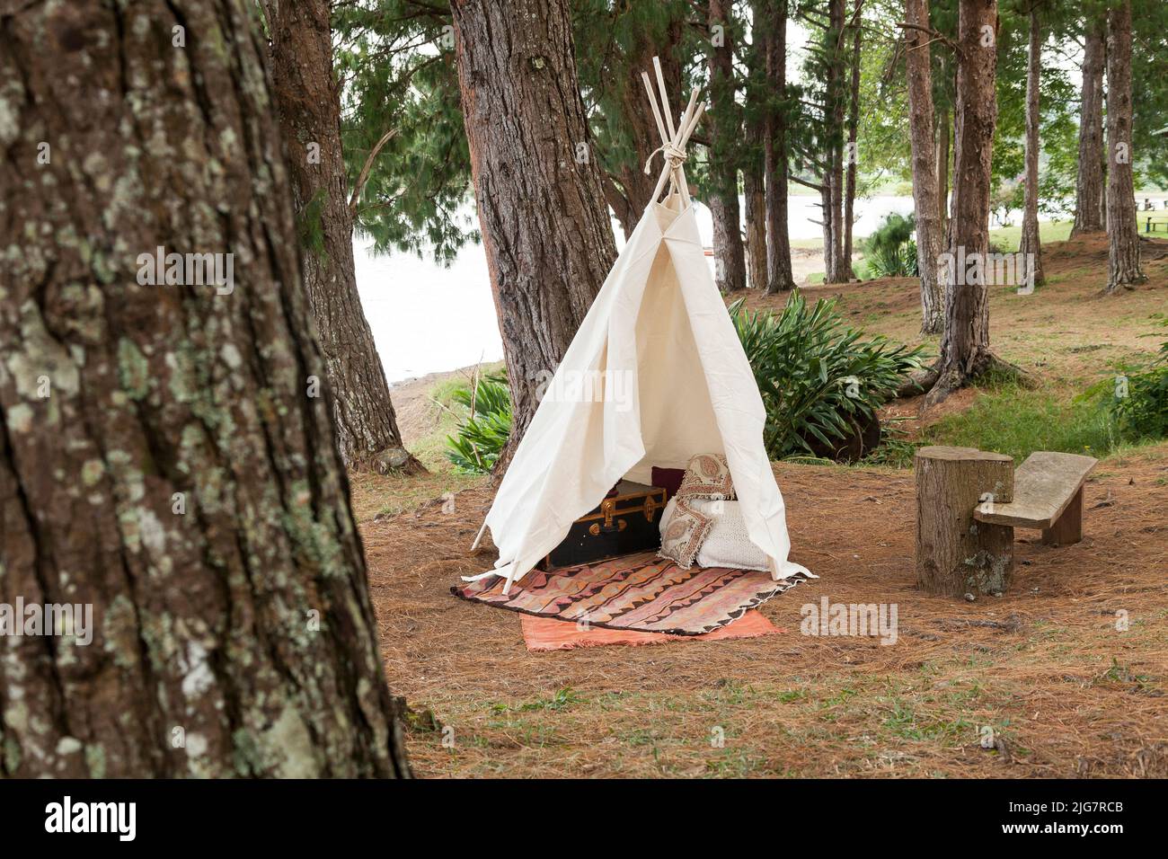 Una tenda da tè fatta di stoffa cruda nel mezzo della foresta. Foto Stock