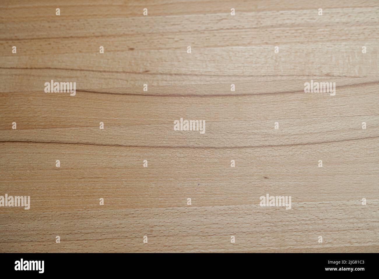 Heartbeech superficie di legno scrivania in bassa Baviera Germania Foto Stock