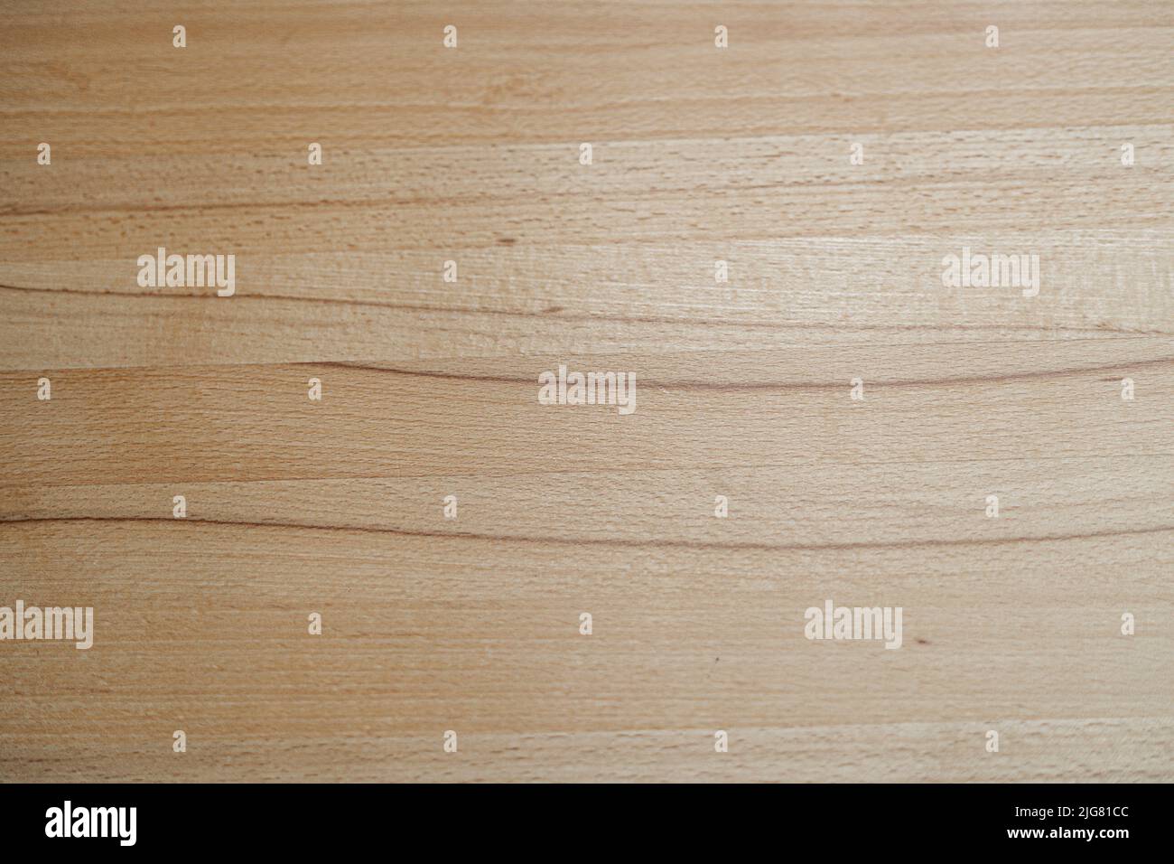 Heartbeech superficie di legno scrivania in bassa Baviera Germania Foto Stock