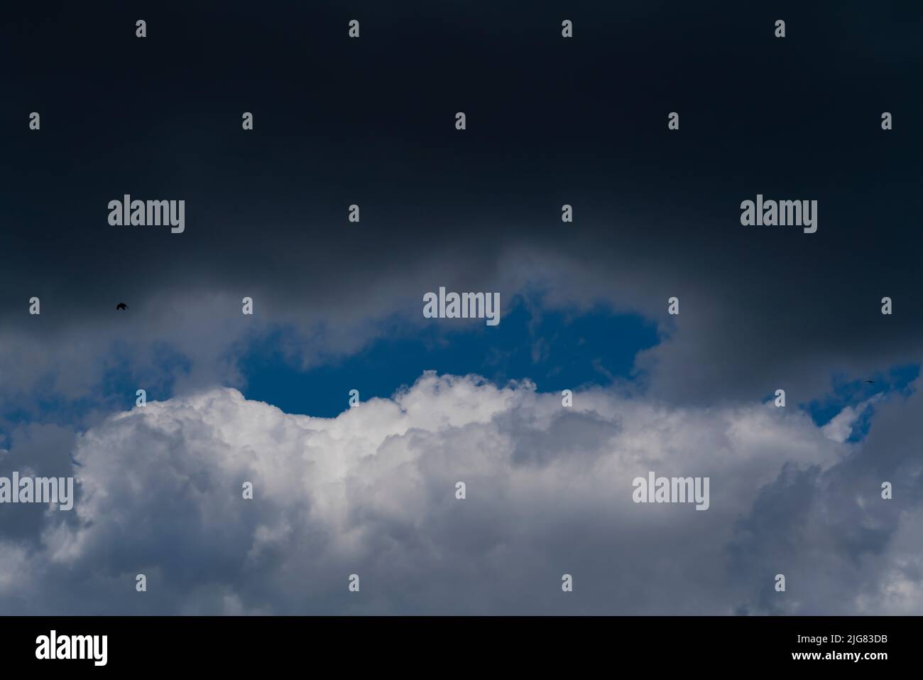 Nuvole di pioggia grigie e bianche, nel cielo blu medio e uccelli Foto Stock