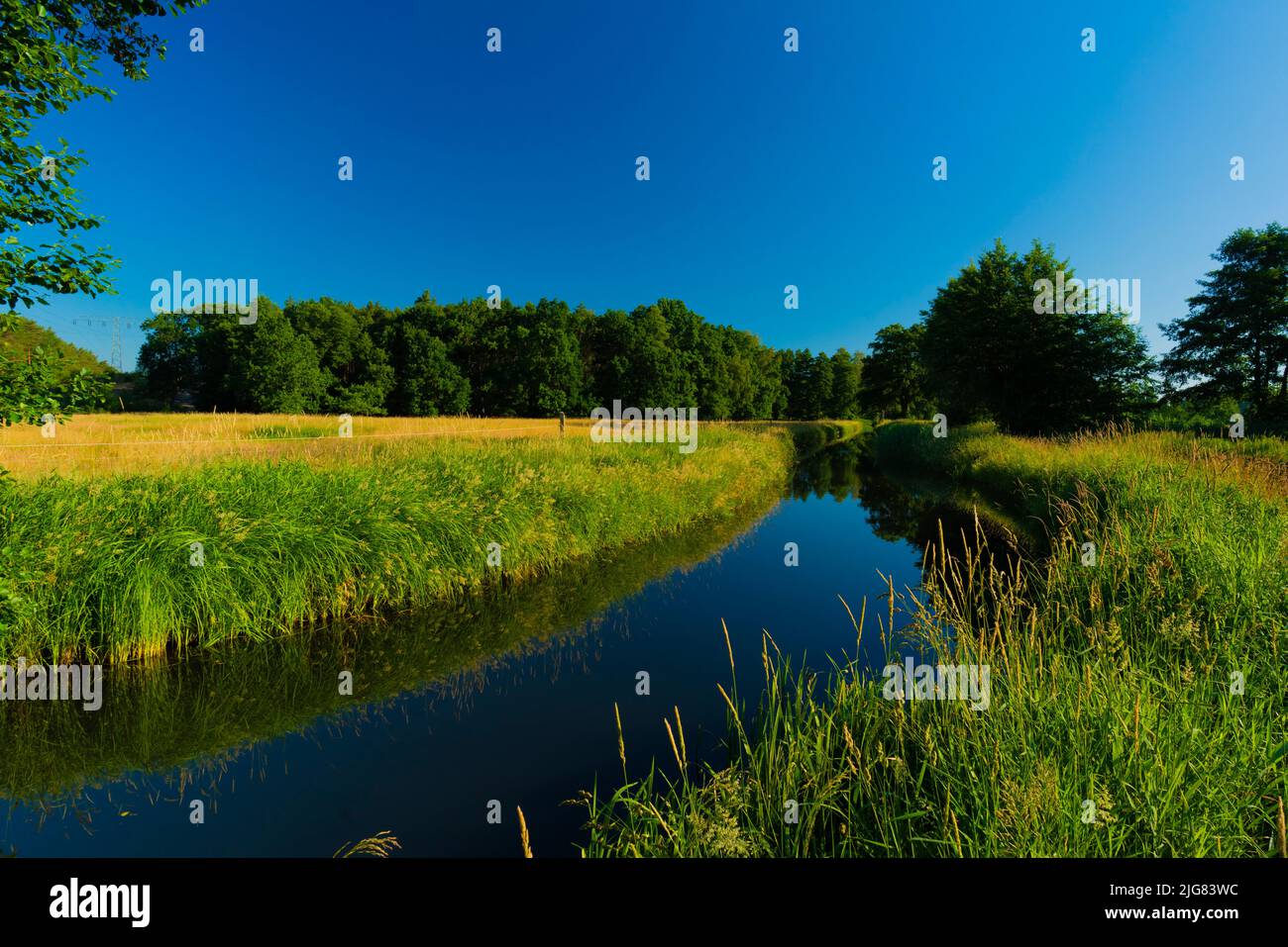 Piccolo fiume al mattino presto in Germania in estate Foto Stock