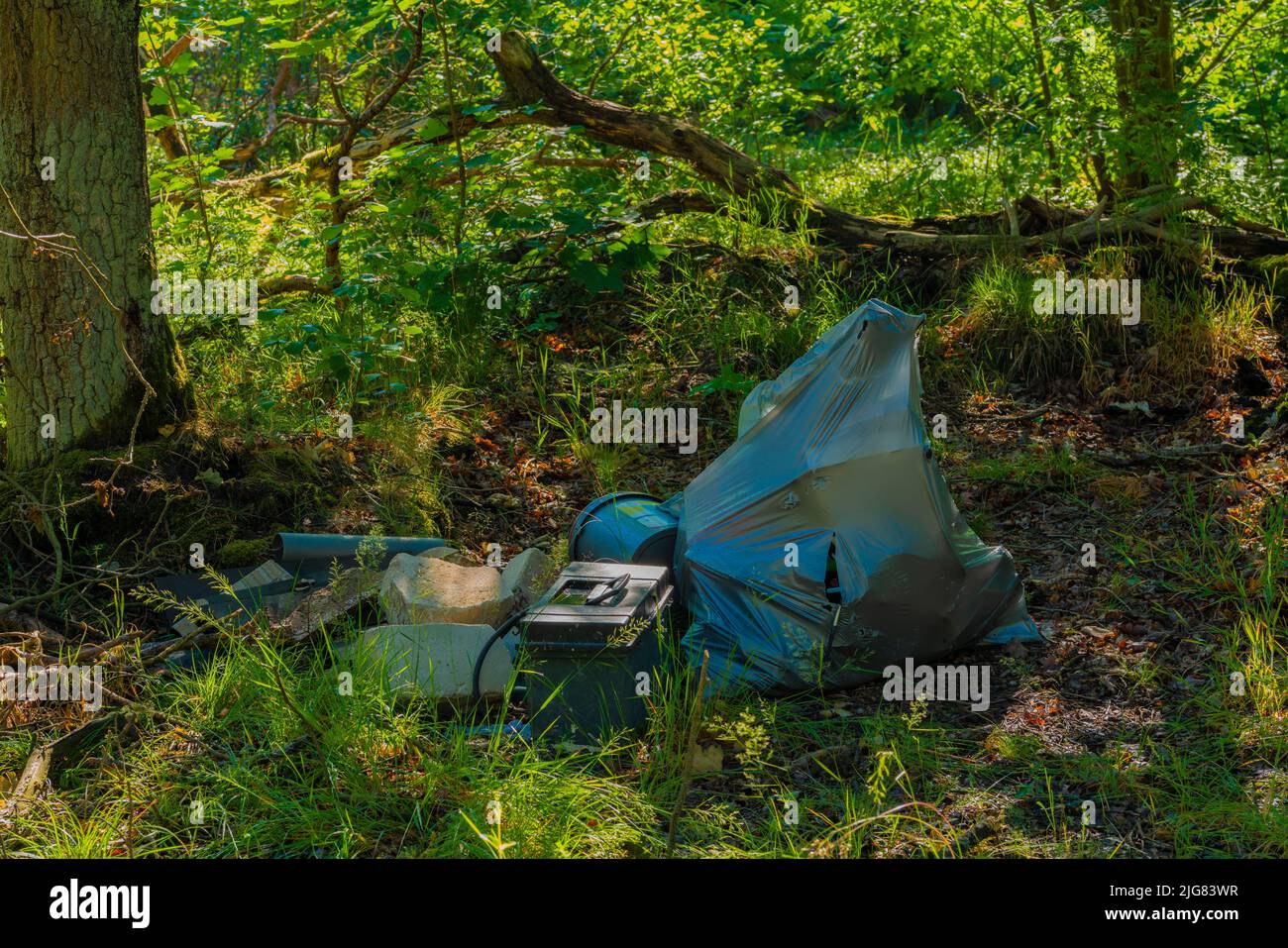 Rifiuti illegali scaricati nella foresta in Germania nei pressi di Berlino Foto Stock